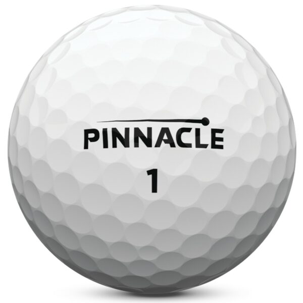 Pinnacle Soft 2019 - Image 3